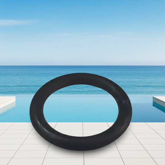 MPV Sight Glass O Ring